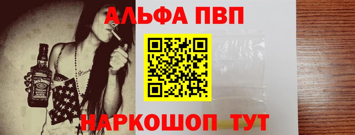 A PVP СК КРИС Гагарин