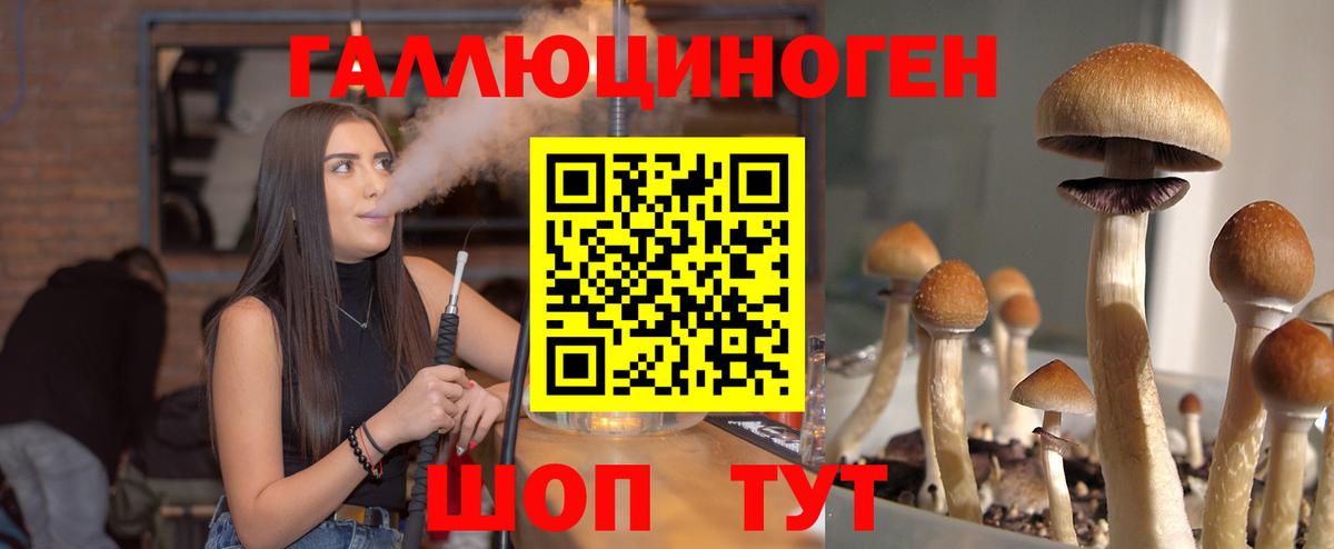 Галлюциногенные грибы мицелий  Вход с VPN  Гагарин 